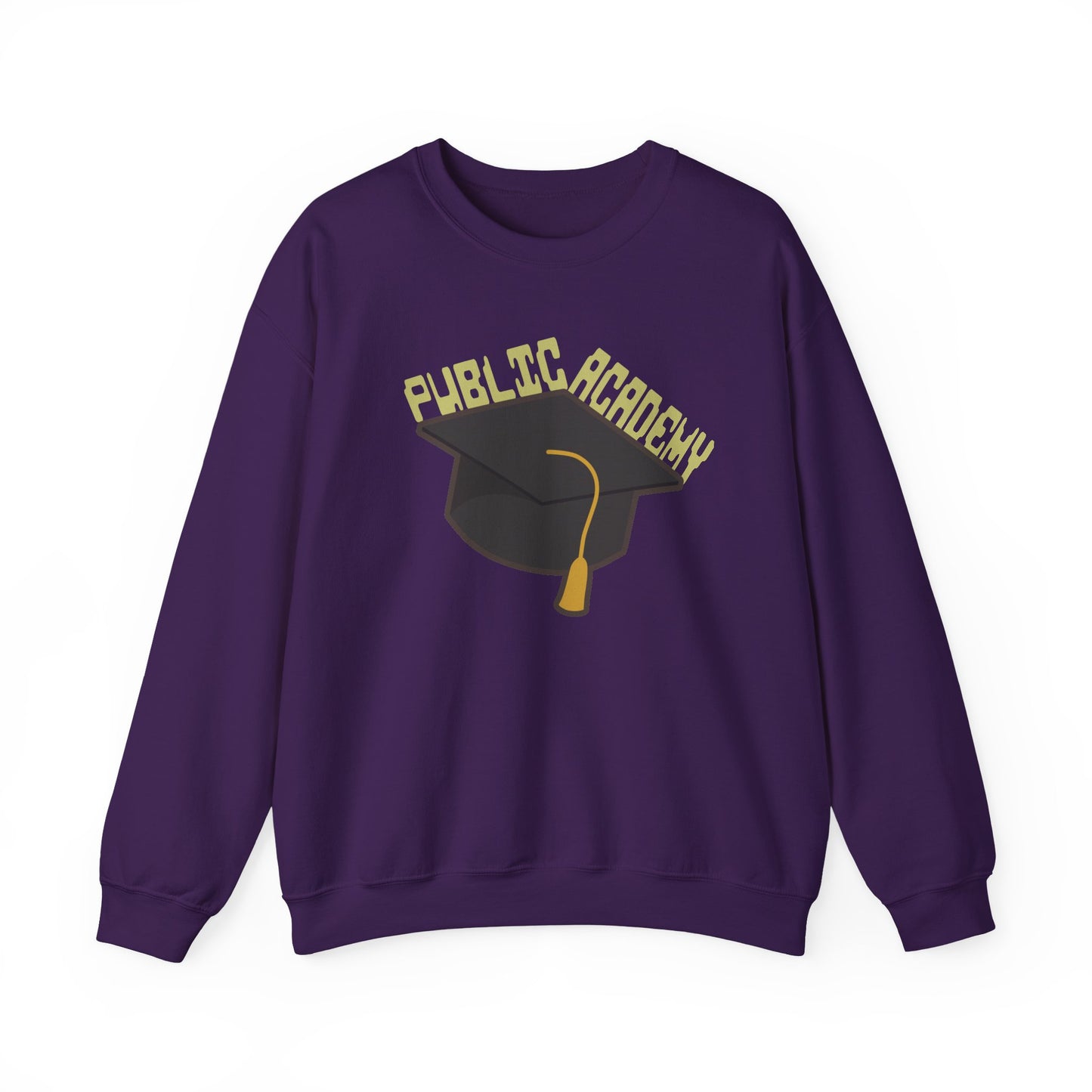 Public Academy Sweatshirt - Unisex Crewneck Sweatshirt, School Sweater