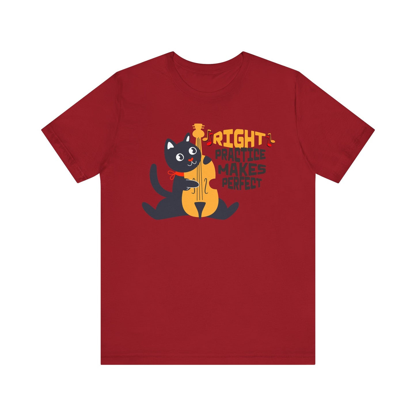 Right Practice Makes Perfect Unisex Tee Cat Lover Music Lover Shirt