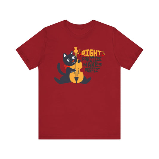 Right Practice Makes Perfect Unisex Tee Cat Lover Music Lover Shirt