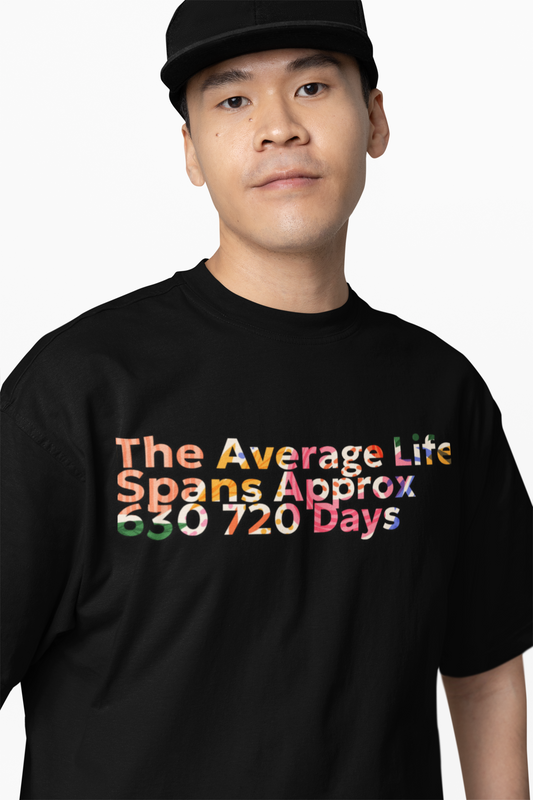 Average Life Span Tee-Summer T-shirt, Festival T-shirt