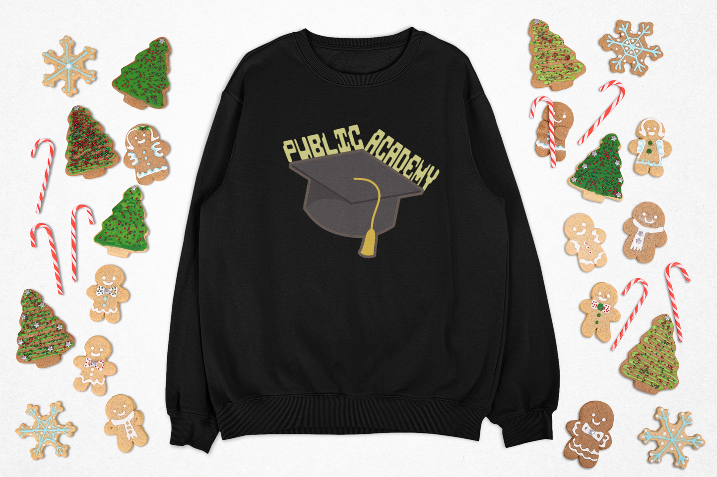 Public Academy Sweatshirt - Unisex Crewneck Sweatshirt, School Sweater